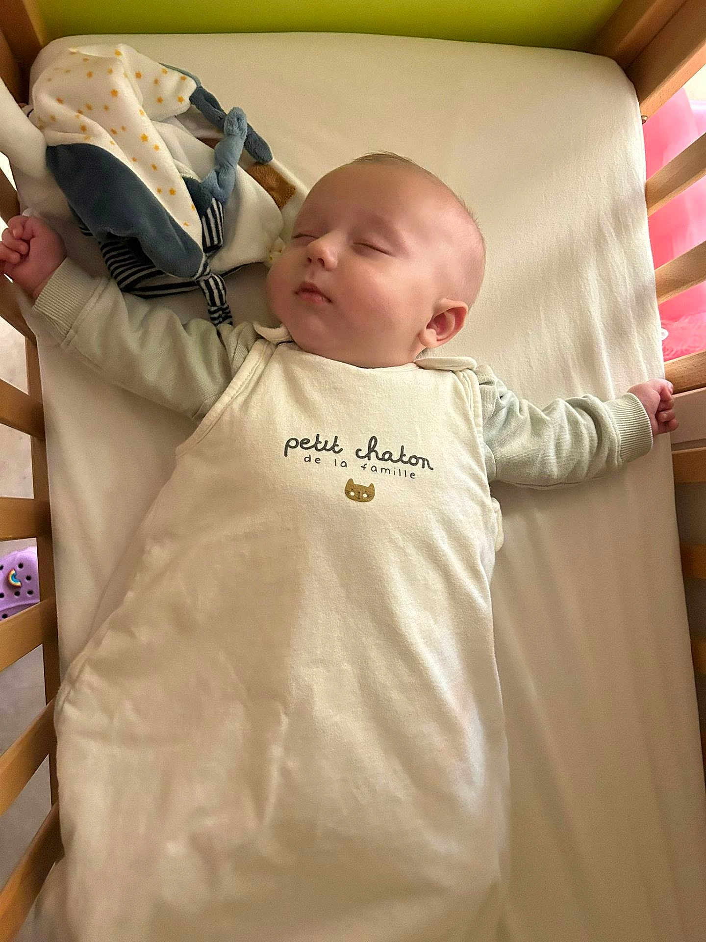 Maxence participe au concours pour gagner de l'argent avec cette photo : baby, sleeping, crib, sleeping_bag, infant, cute, peaceful, child, indoors, soft_light, face, arm, toy, blanket, wooden_crib, toddler, clothing, head, resting, calm