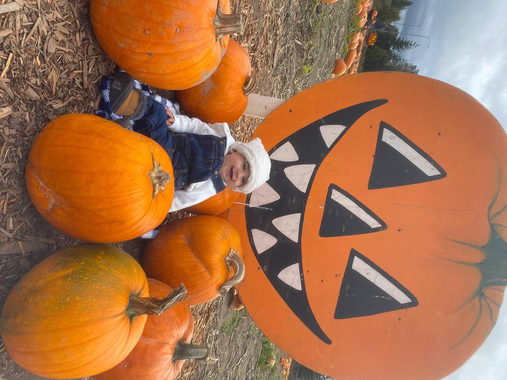 Moises joined the competition — help win amazing prizes! _and_melon_family, _gourd, calabaza, cucumber, cucurbita, fruit, gourd, headwear, holiday, joy, local_food, natural_foods, orange, person, produce, pumpkin, squash, staple_food, still_life_photography, tradition