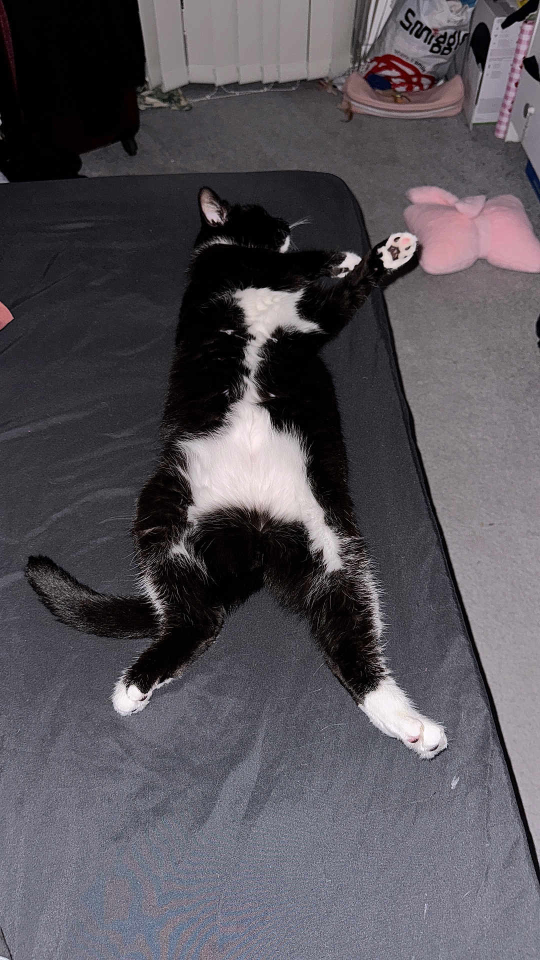 Mittens