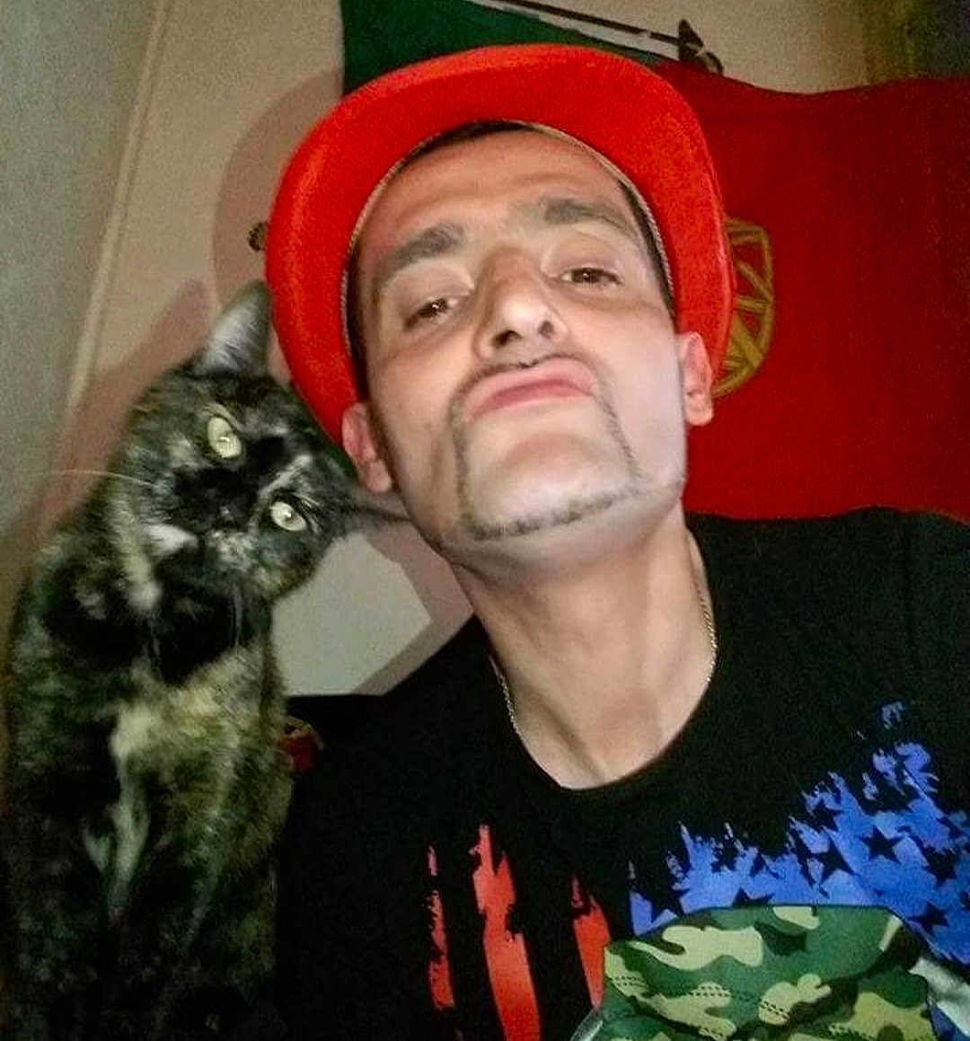 Chipy