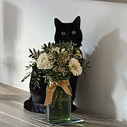 Arc En Ciel a rejoint le concours — aidez-le/la à gagner de superbes lots ! black_cat, cat, closeup, curious, decor, domestic_cat, flower_bouquet, green_vase, greenery, indoor, nature, pet, plant, ribbon, shadow, still_life, table, vase, white_flowers, wooden_surface