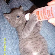 Choupie a rejoint le concours — aidez-le/la à gagner de superbes lots !