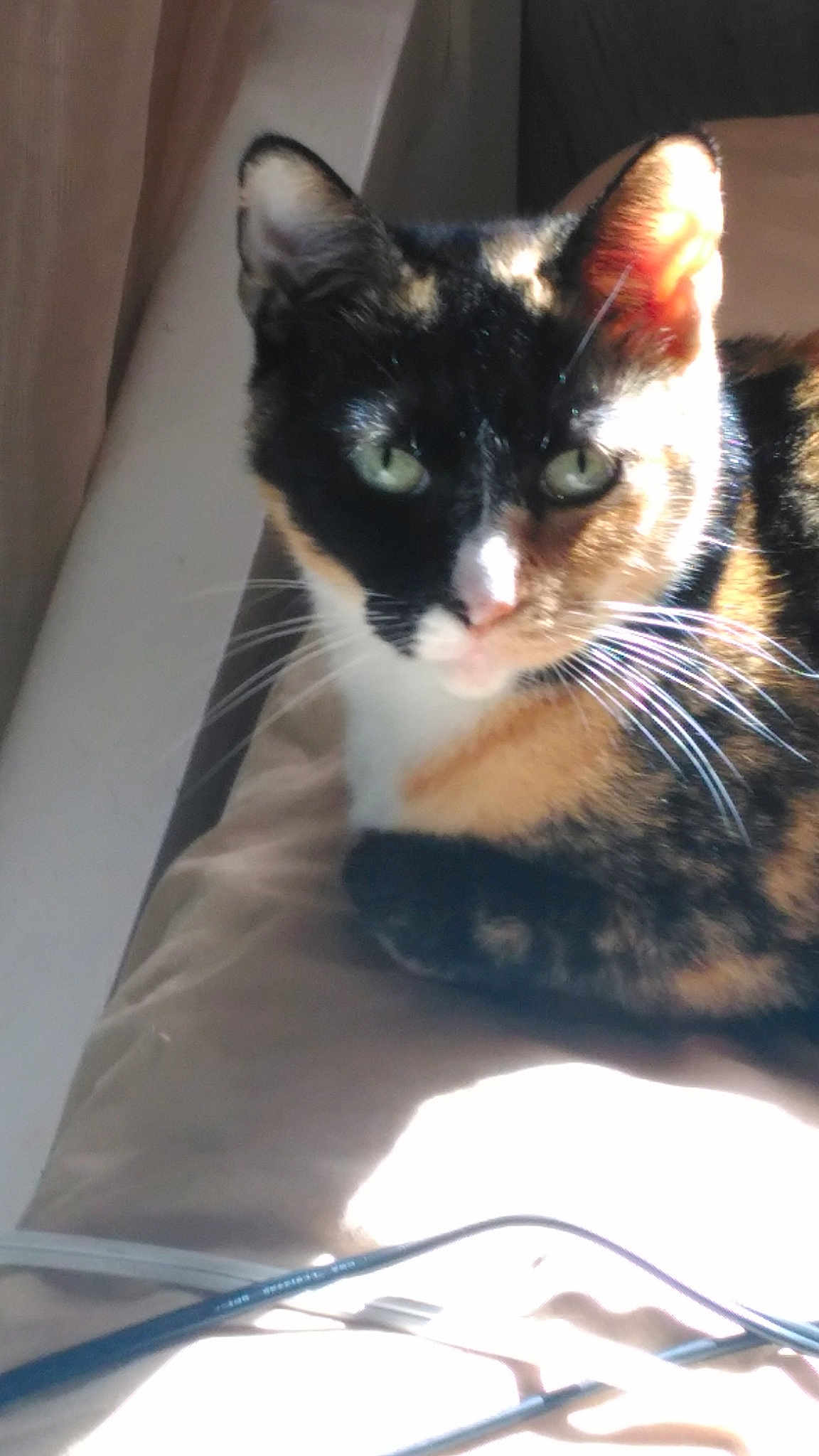 Coco