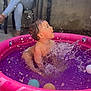 Leyna participe au concours pour gagner de l'argent avec cette photo : casual_clothing, child, colorful_balls, daytime, fun, happy, joyful, outdoor, person_in_background, pink_pool, plastic_pool, playing, pool, purple_water, sitting, splashing, summer, toddler, water, wet_hair