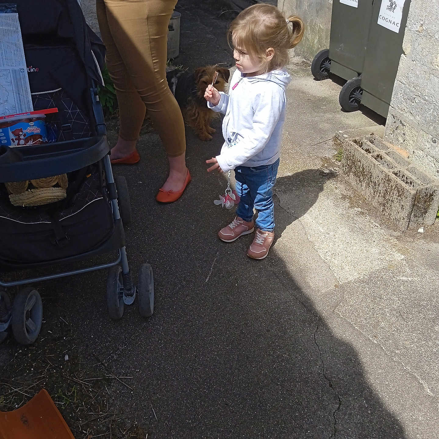 Beatrice Giraud a rejoint le concours — aidez-le/la à gagner de superbes lots ! adult, casual, child, clothing, curly_hair, dog, footwear, legs, outdoor, pacifier, pavement, residential_area, shadow, side_view, stone_wall, stroller, sunlight, toddler, toy, trash_bins