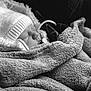 baby, infant, sleeping, blanket, hat, beanie, hood, fur_trim, cozy, soft_texture, closeup, portrait, monochrome, black_and_white, newborn, resting, face, head, fabric, peaceful