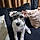 Lunna