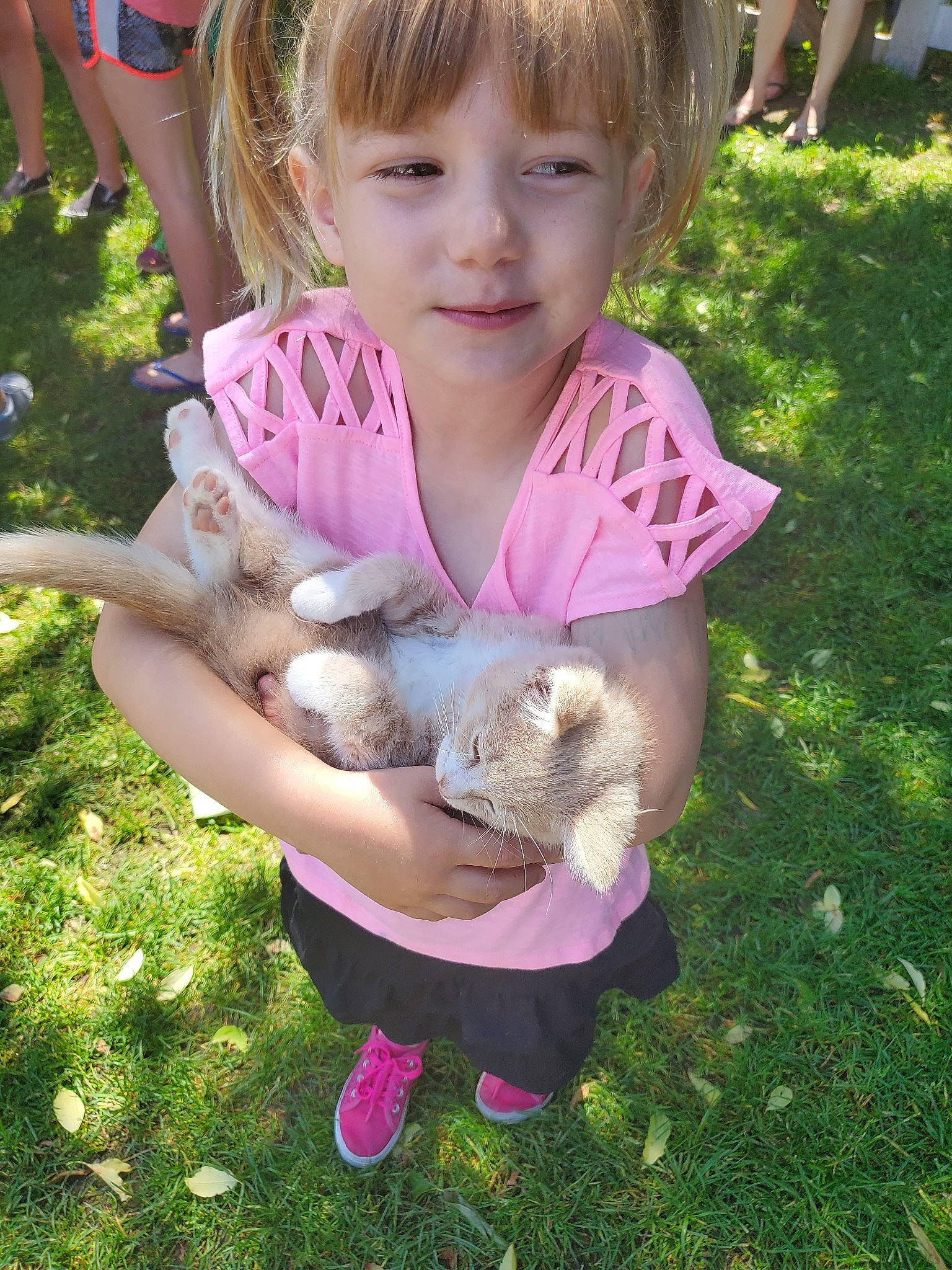 Leyla is registered to the contest to win money with this photo: canidae, carnivore, child, companion_dog, dog, dog_breed, fawn, grass, person, play, puppy, sporting_group