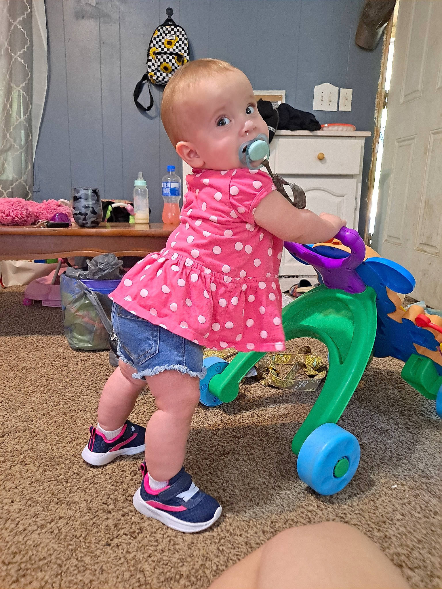 Emerie is registered to the contest to win money with this photo: baby_playing_with_toys, baby_products, baby_toddler_clothing, child, curtain, door, electric_blue, fun, happy, houseplant, human_leg, joint, leisure, magenta, person, pink, play, purple, sitting, standing