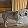Luna May