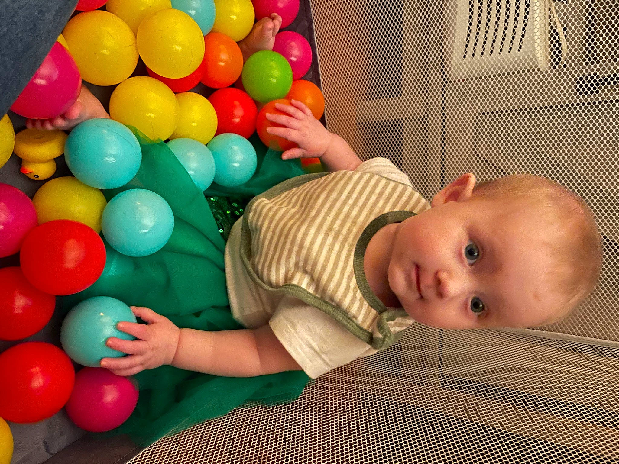 Scarlett is registered to the contest to win money with this photo: baby, baby_playing_with_toys, baby_products, baby_safety, baby_toddler_clothing, ball_pit, balloon, beauty, child, comfort, event, flooring, fun, happy, party_supply, person, play, sitting, toddler, toy