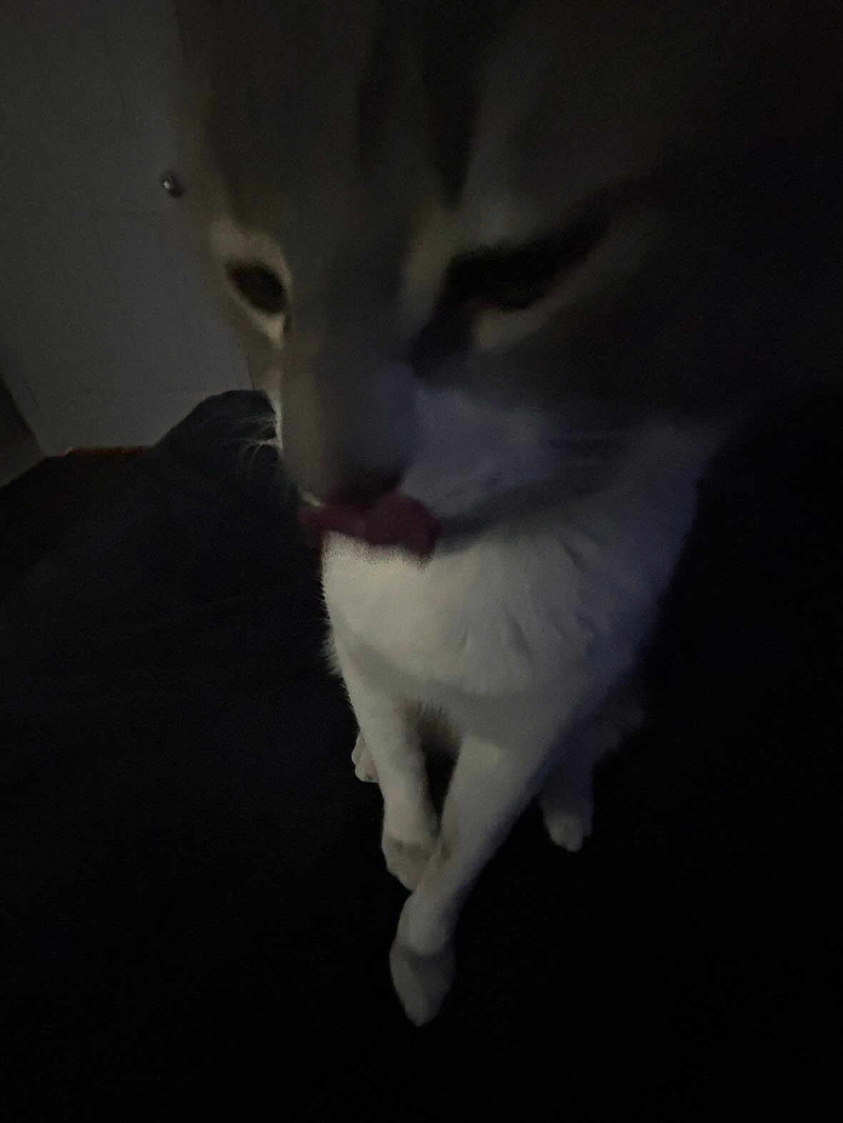 Jordi