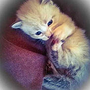 Danakil a rejoint le concours — aidez-le/la à gagner de superbes lots !