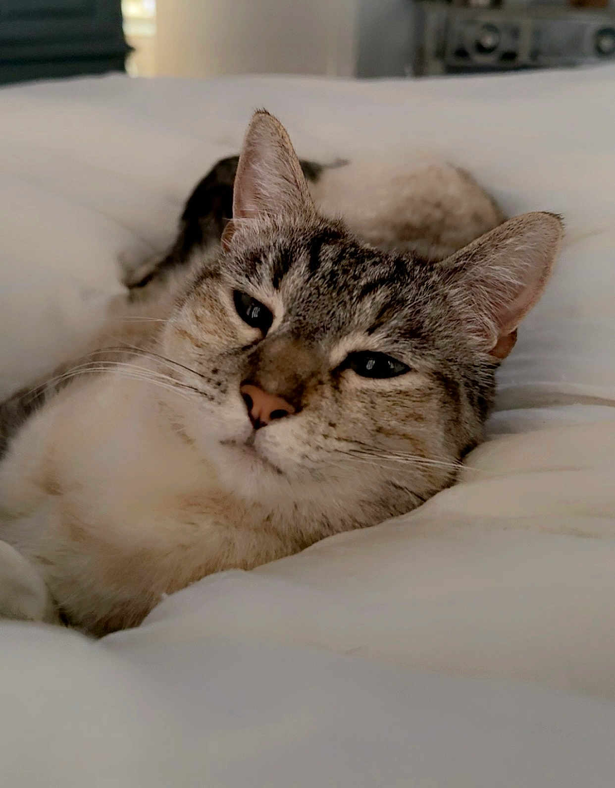 Nala