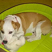 Bob participe au concours pour gagner de l'argent avec cette photo :
