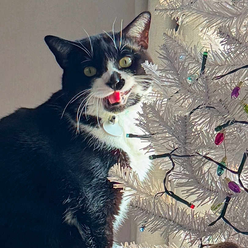 Smudge