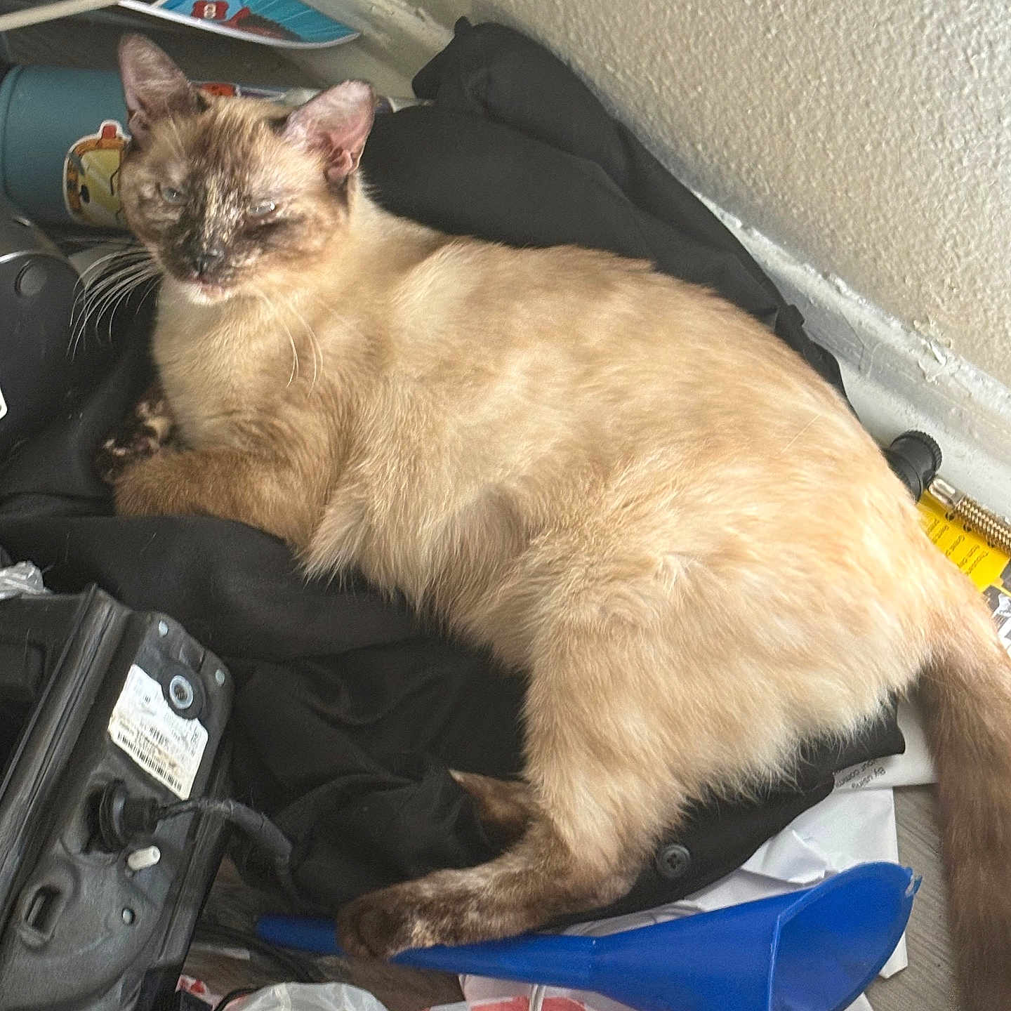 Luna