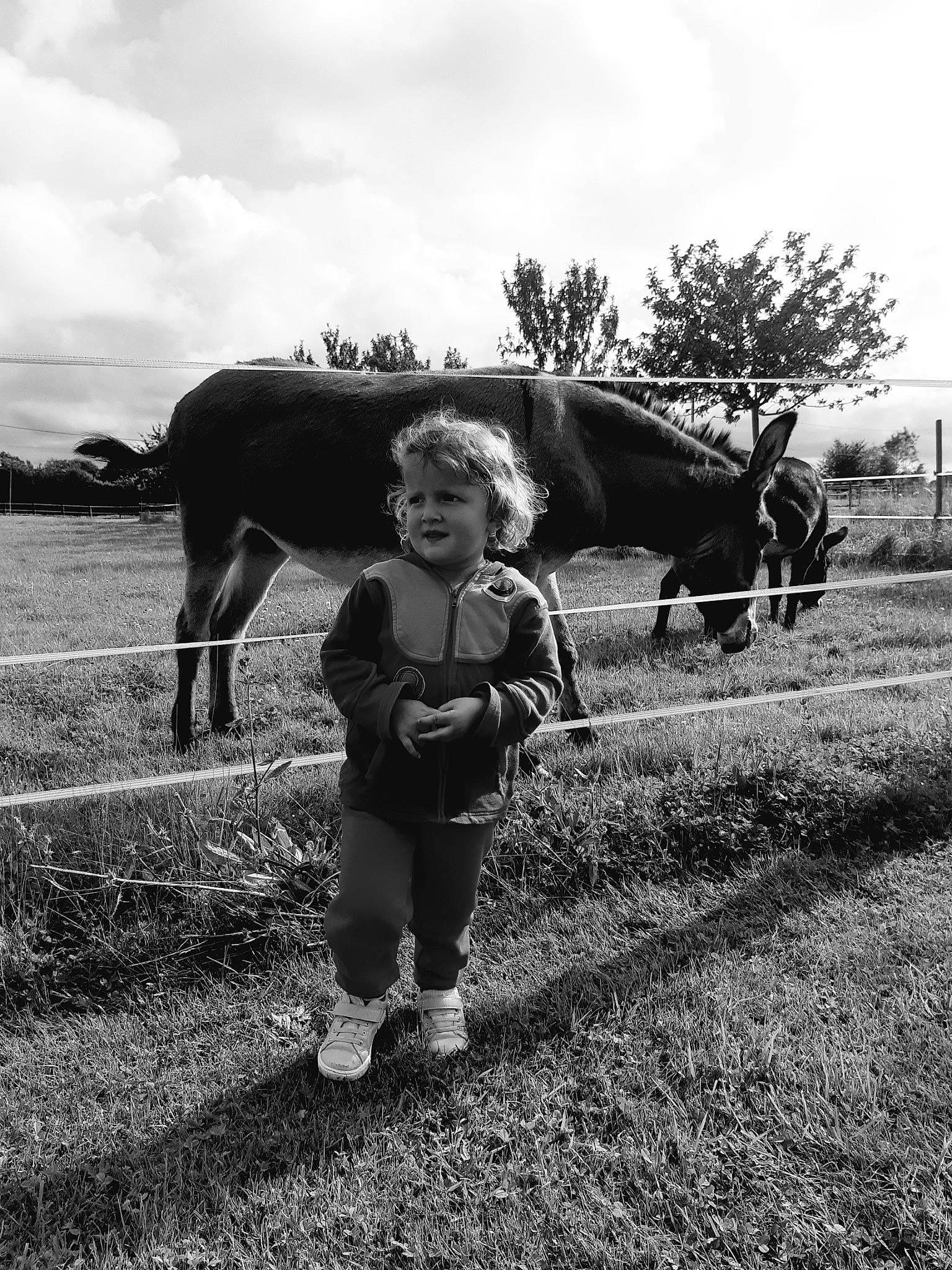 Lola a rejoint le concours — aidez-le/la à gagner de superbes lots ! bridle, cloud, dairy_cow, gesture, grass, grassland, grazing, horse_supplies, horse_tack, landscape, livestock, meadow, monochrome_photography, pack_animal, person, plant, sky, standing, style, tree