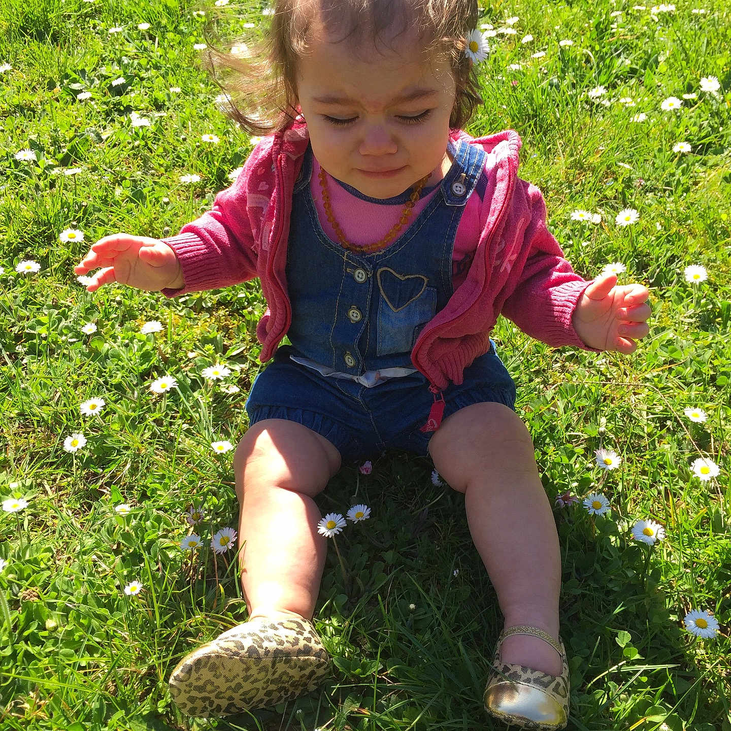 Louna a rejoint le concours — aidez-le/la à gagner de superbes lots ! adventure, child, flower, fun, grass, jungle, lawn, meadow