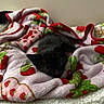 kitten, black_cat, blanket, strawberry_pattern, cozy, sleepy, pet, cute, indoor, furry, animal, small, resting, soft_texture, colorful, fur, comfort, lying_down, domestic_cat, young