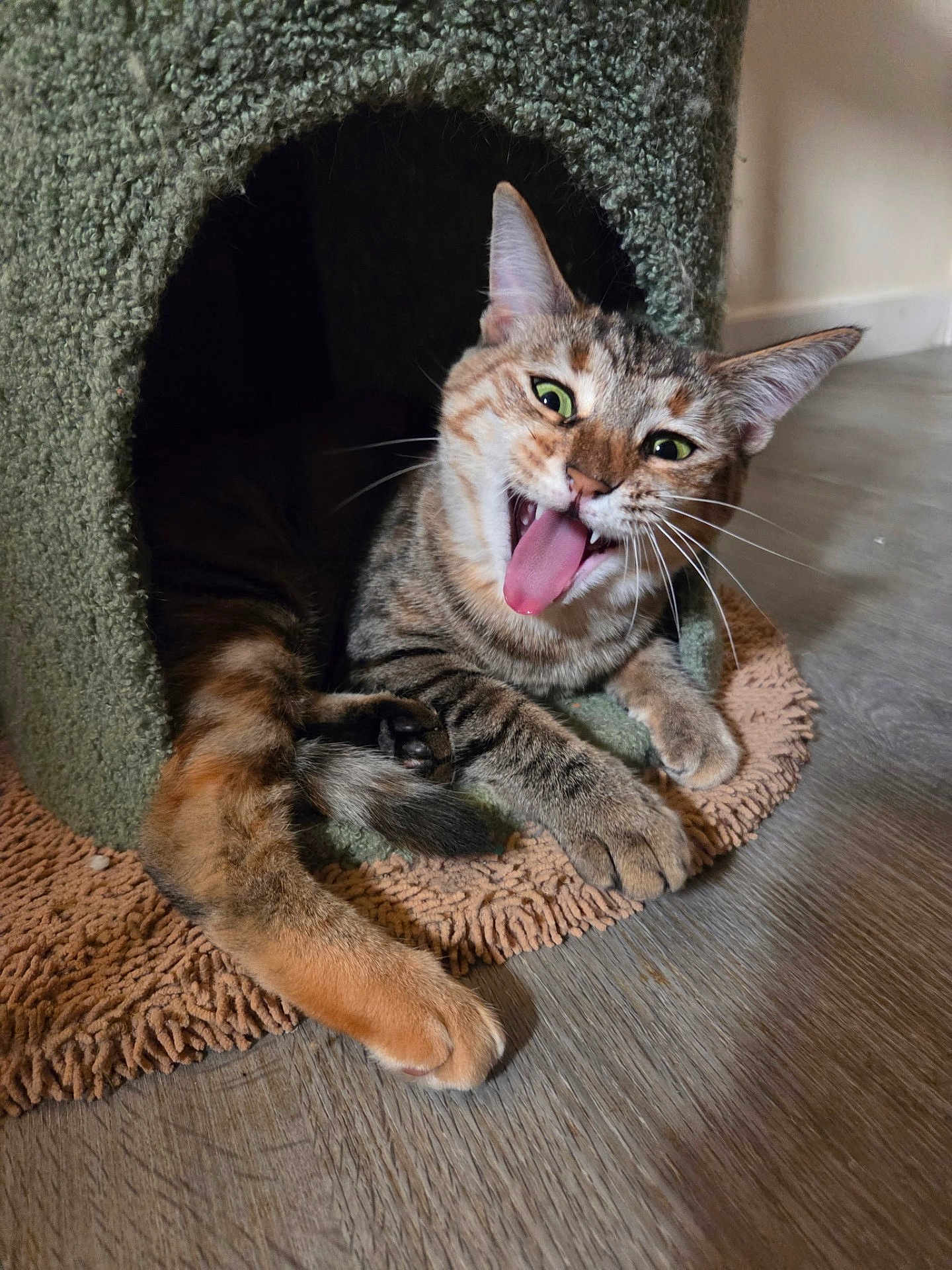 Luna