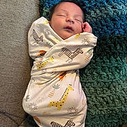 Eli joined the competition — help win amazing prizes! newborn, baby, sleeping, swaddled, blanket, zebra, giraffe, pillow, couch, cozy, infant, resting, peaceful, soft, cute, pattern, animal_print, homedecor, indoors, child