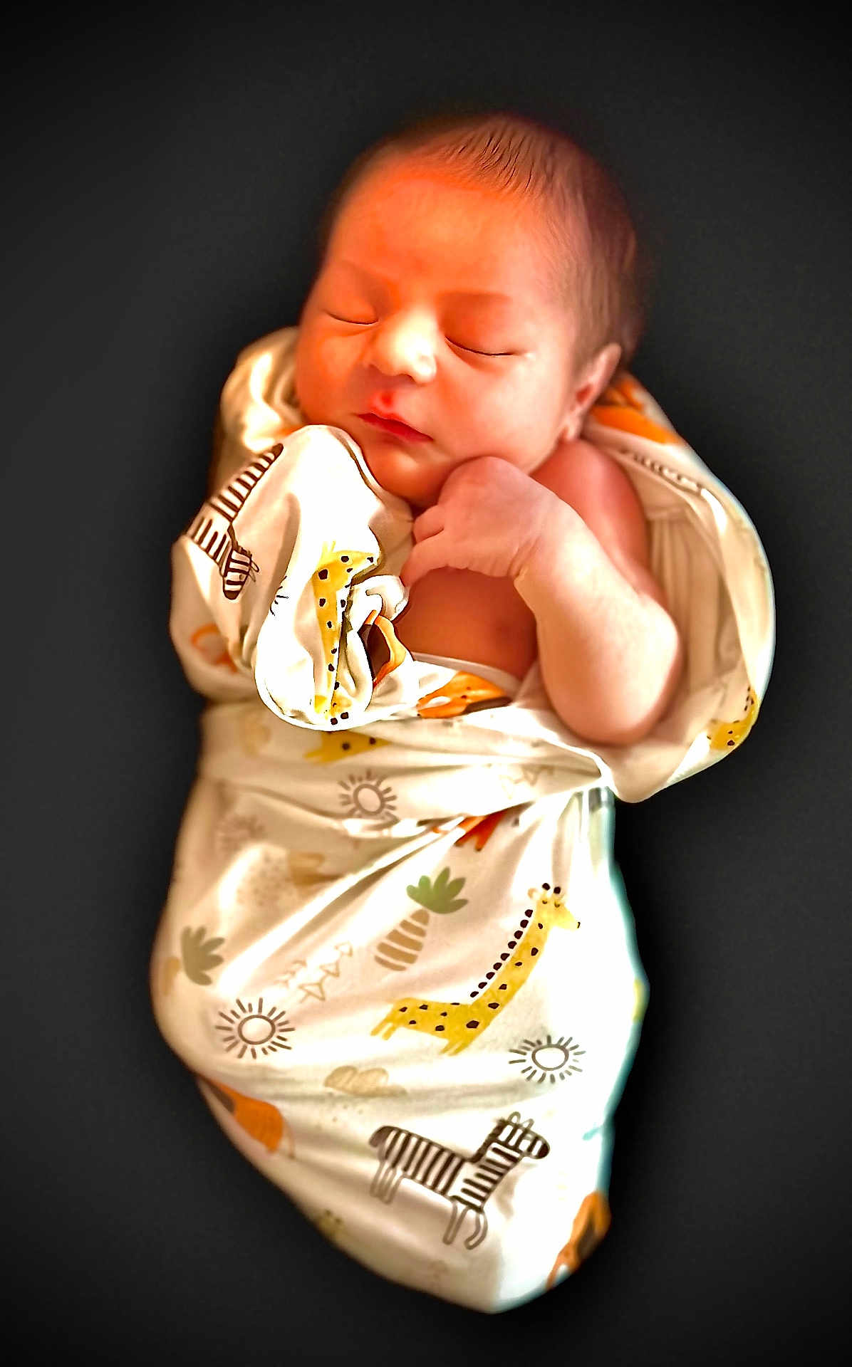 Eli joined the competition — help win amazing prizes! newborn, baby, sleeping, swaddled, blanket, animal_print, giraffe, zebra, infant, cute, peaceful, portrait, wrapped, soft_light, hand, face, skin, head, resting, cozy