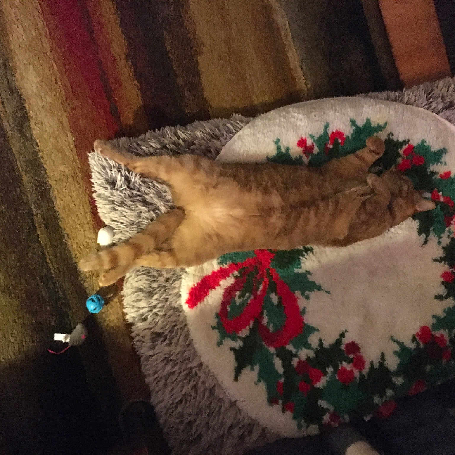 Cheeto
