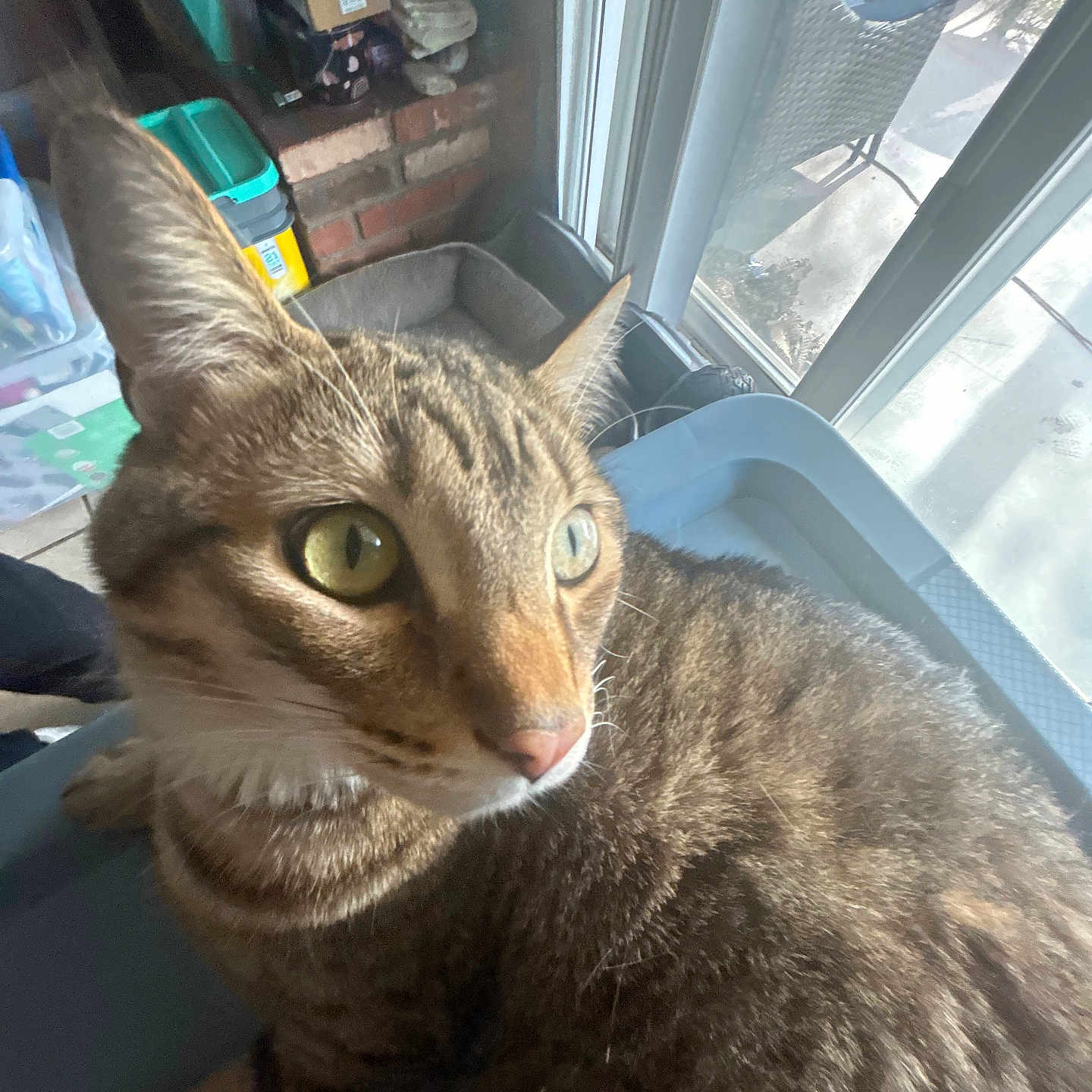 Benny