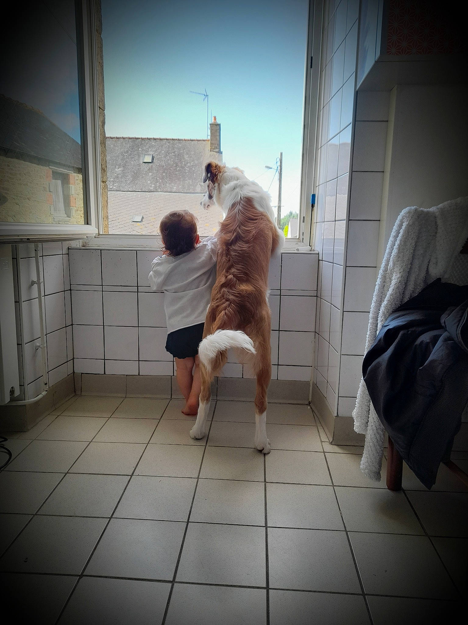 Soka a rejoint le concours — aidez-le/la à gagner de superbes lots ! comfort, composite_material, darkness, daylighting, elbow, flash_photography, flesh, floor, flooring, fun, hardwood, human_leg, room, shadow, sitting, symmetry, tile, tints_and_shades