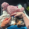 puppy, dog, sleeping, lap, hands, blanket, stuffed_animal, car_interior, sunlight, blue_shirt, bracelet, nail_polish, comfort, petting, relaxing, cozy, furry, toy, resting, cuddly