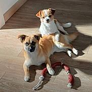 Paco participe au concours pour gagner de l'argent avec cette photo :