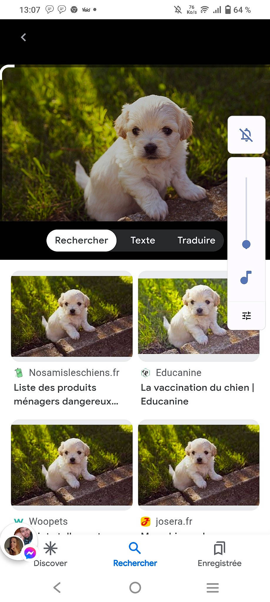Athenais a rejoint le concours — aidez-le/la à gagner de superbes lots ! canidae, carnivore, collage, companion_dog, dog, dog_breed, event, font, grass, grassland, green, mammal, natural_landscape, photograph, sporting_group, vertebrate, water, white, wildlife, working_animal