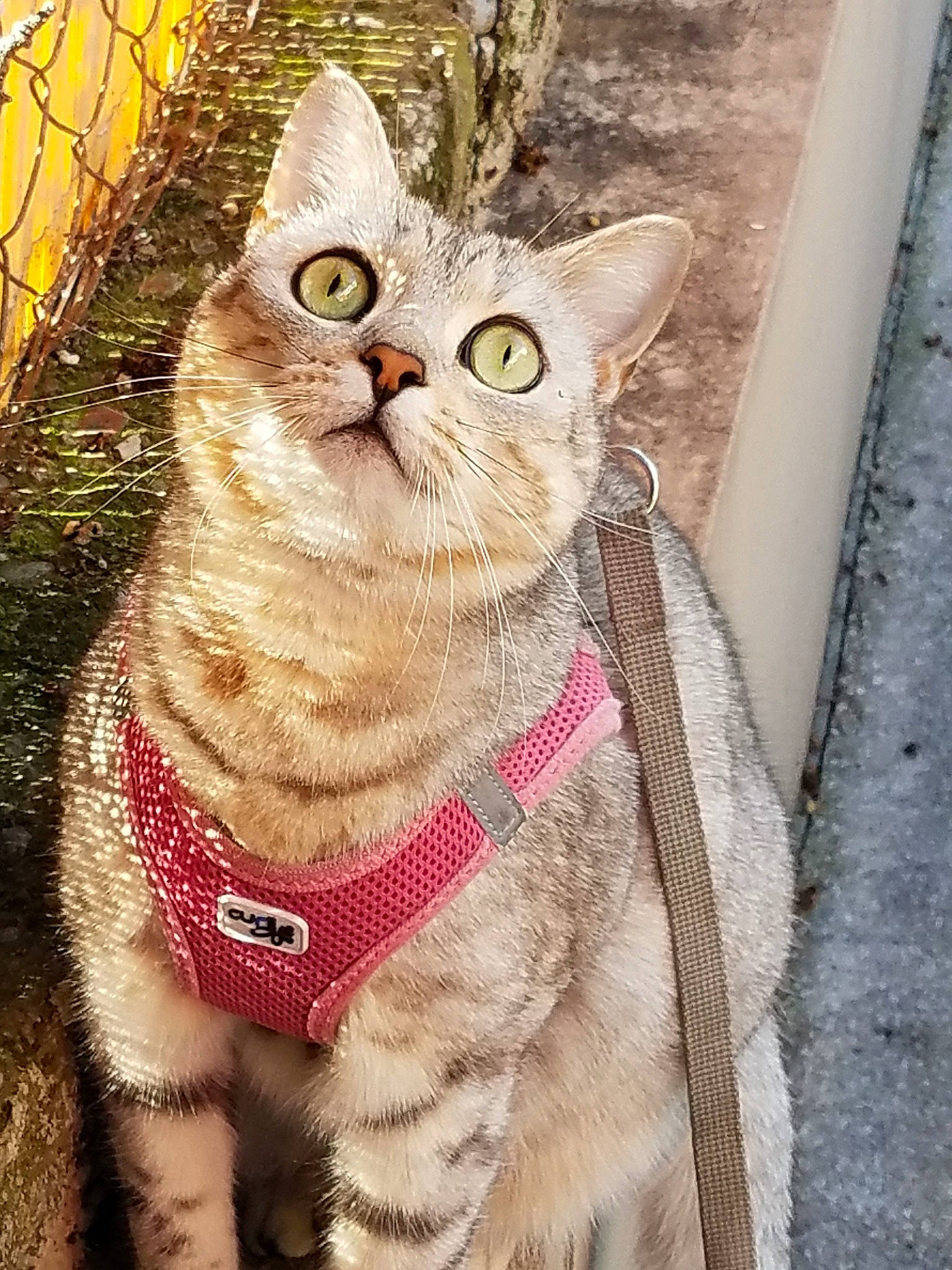 Ruby