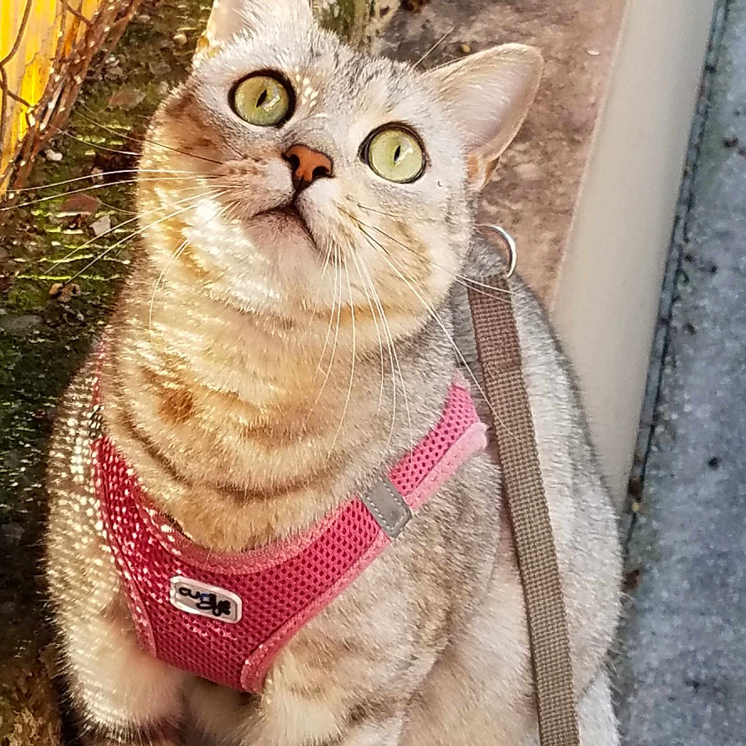 Ruby