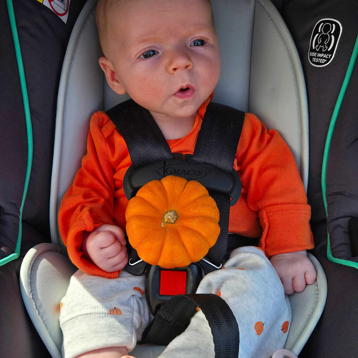Eilah is registered to the contest to win money with this photo: baby, infant, child, car_seat, orange_clothing, pumpkin, autumn, halloween, harness, safety_seat, portrait, sitting, wide_eyed, surprised_expression, facial_expression, hands, bare_feet, pacifier, indoor, close_up