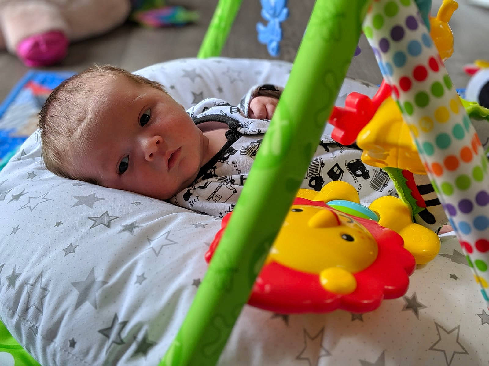 Leon joined the competition — help win amazing prizes! baby, baby_playing_with_toys, baby_products, baby_toys, child, fun, person, play, playmat, product, toddler, toy, tummy_time