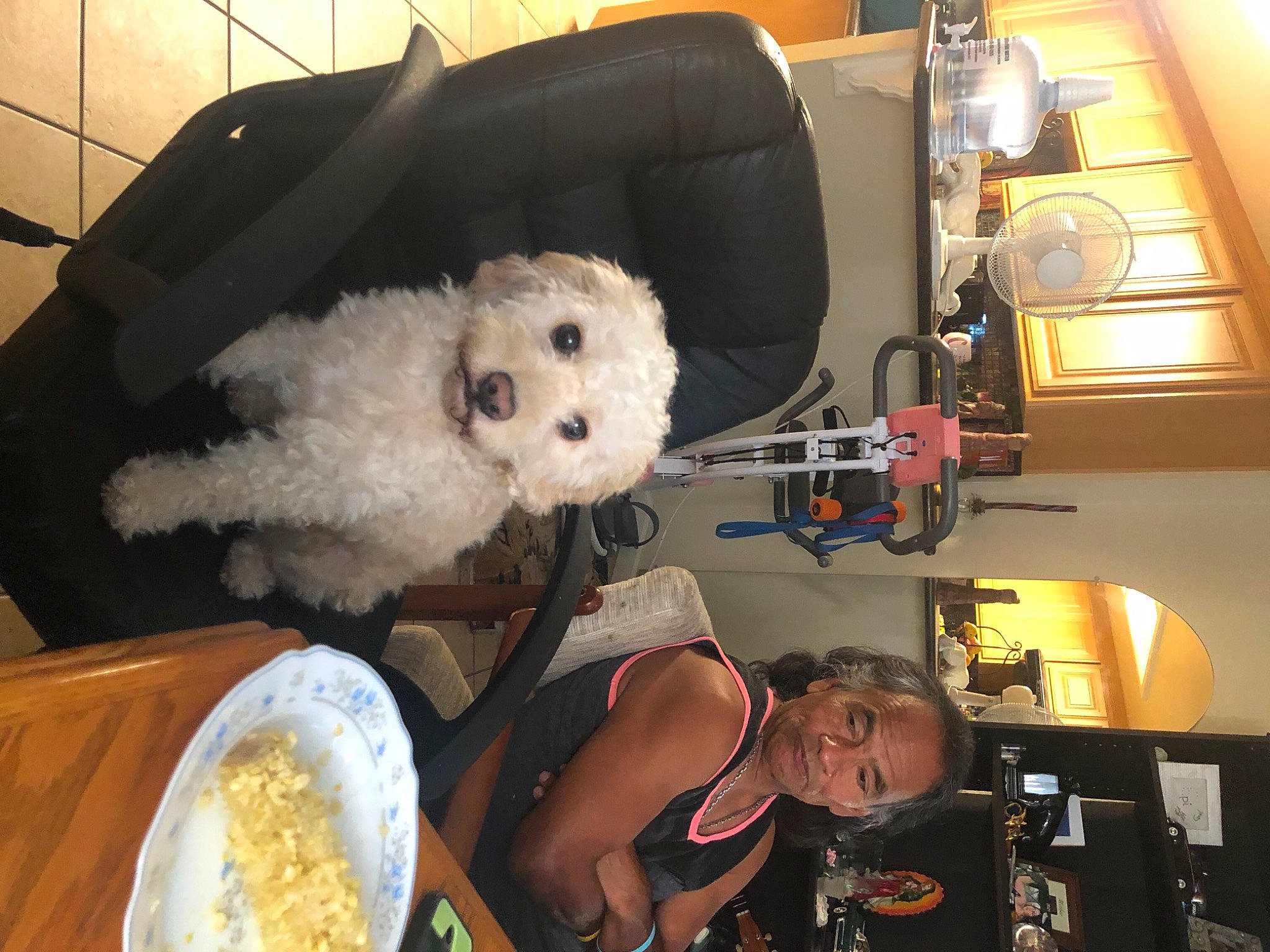 Bear Bear is registered to the contest to win money with this photo: car_seat, car_seat_cover, carnivore, chair, companion_dog, dog, dog_breed, eyewear, fun, fur, lamp, picture_frame, plush, poodle, sporting_group, stuffed_toy, teddy_bear, toy, toy_dog, yellow