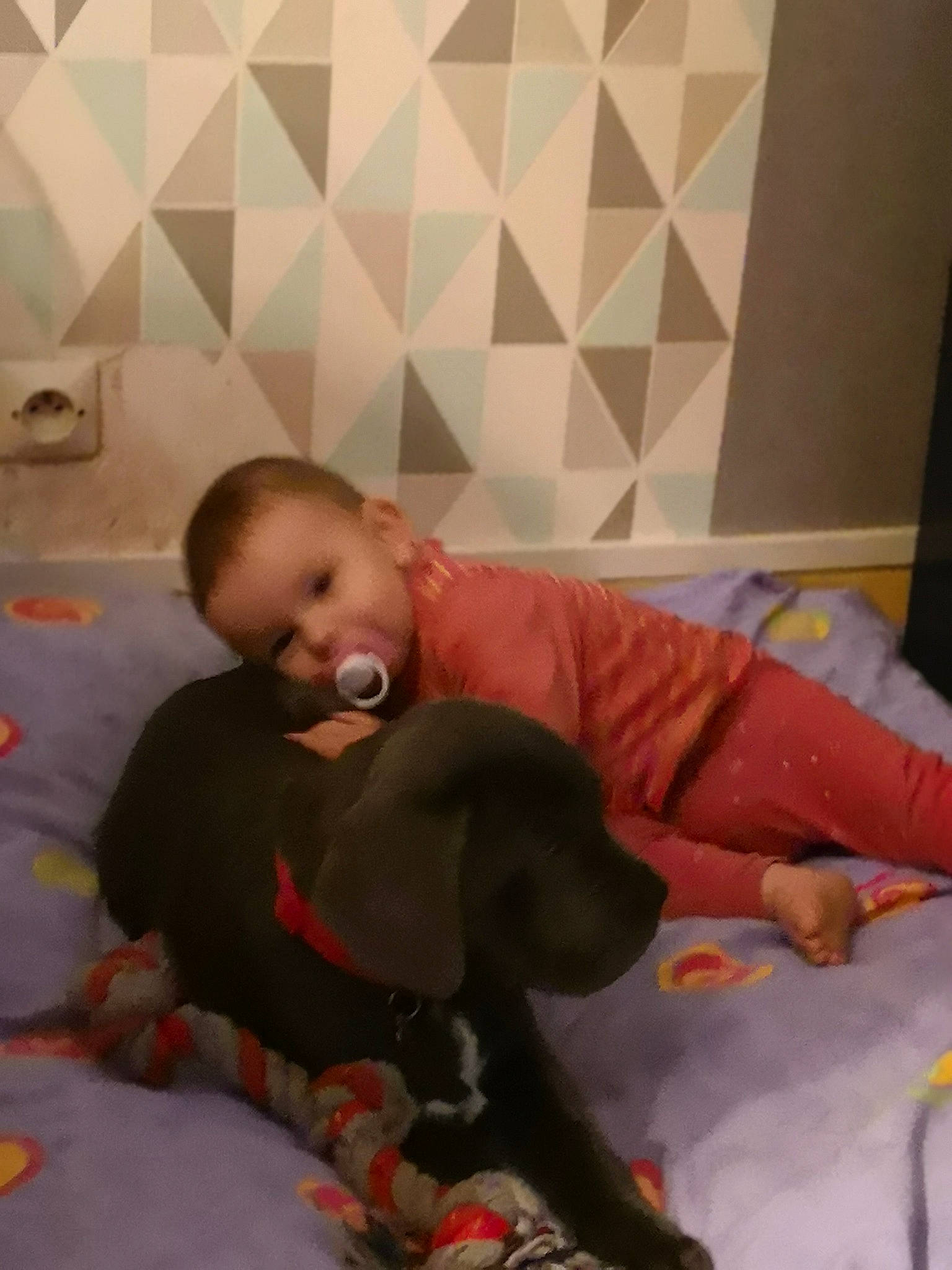 Ilyana participe au concours pour gagner de l'argent avec cette photo : baby, child, joy, person, toddler