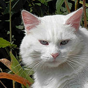 Lilou participe au concours pour gagner de l'argent avec cette photo :