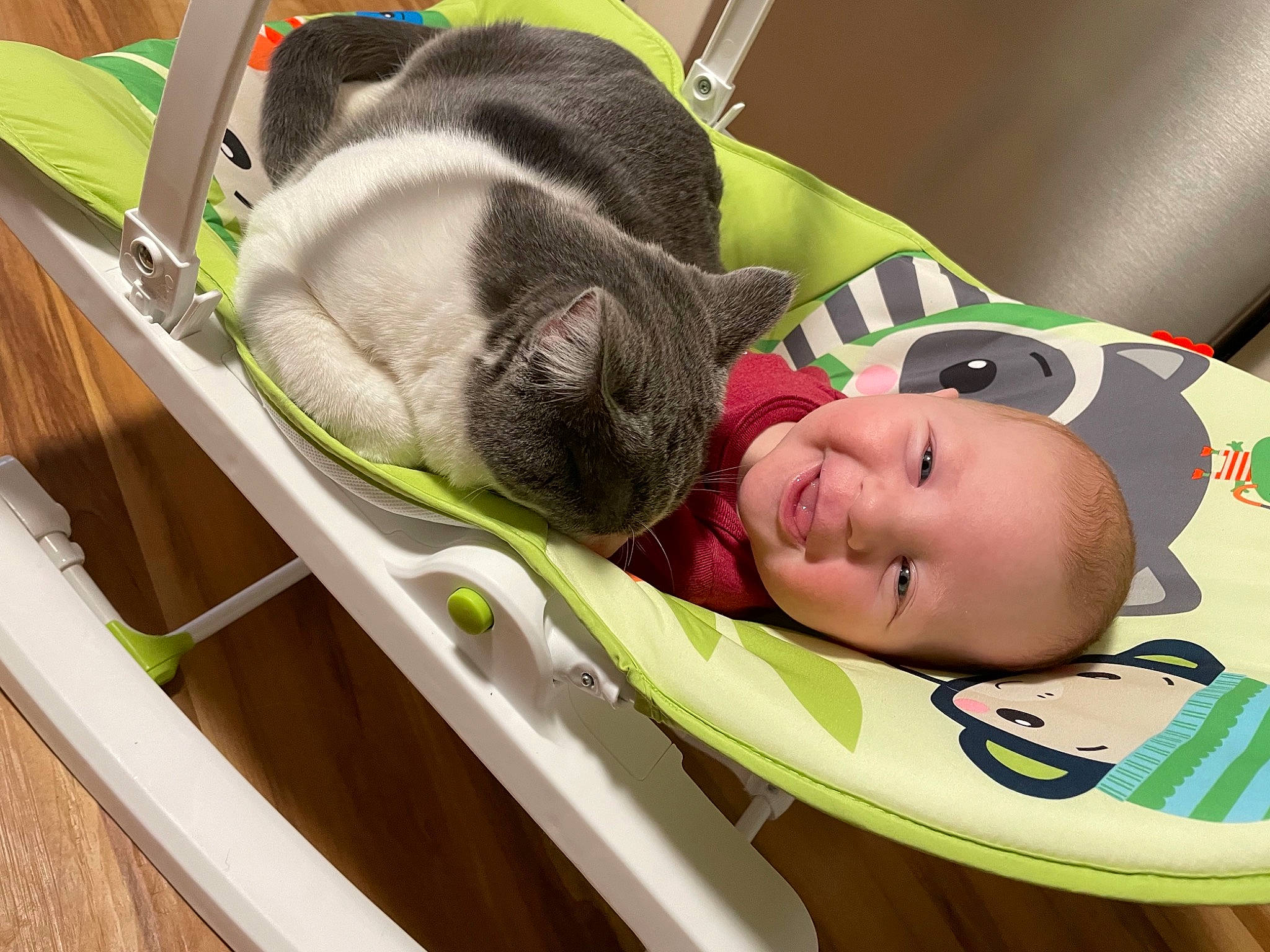 Forrest is registered to the contest to win money with this photo: baby, baby_carriage, baby_products, bag, carnivore, child, comfort, companion_dog, dog, dog_breed, fawn, felidae, hat, leisure, mammal, person, pet_supply, sporting_group, toddler, toy_dog