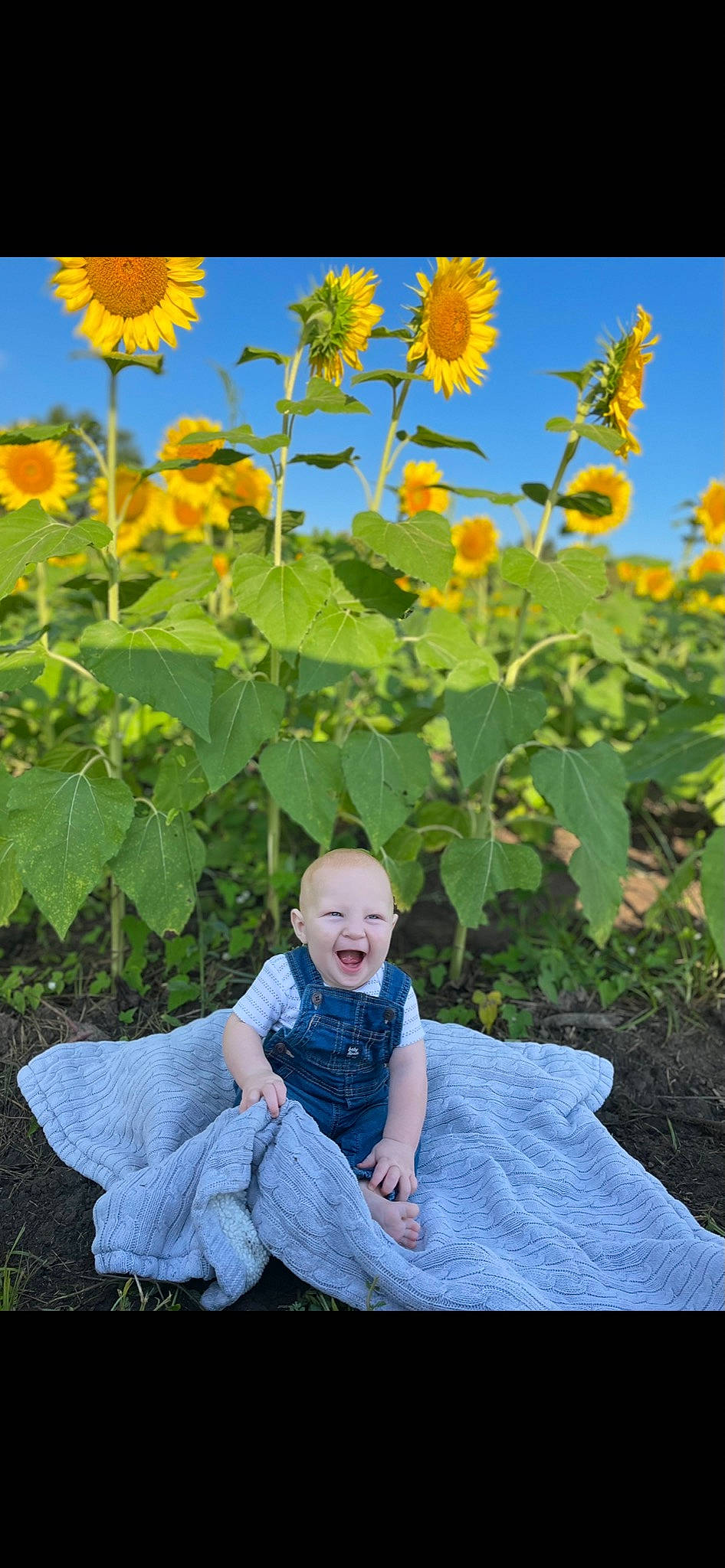 Forrest joined the competition — help win amazing prizes! blue, botany, flower, flowering_plant, grass, green, groundcover, happy, headgear, leaf, people_in_nature, person, petal, plant, sky, summer, t_shirt, toddler, vegetation, wheel