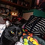 black_cat, cat, animal, pet, yellow_eyes, blanket, striped_bag, indoor, cozy, furniture, clutter, decor, knickknacks, soft_texture, closeup, portrait, resting, domestic, feline, night