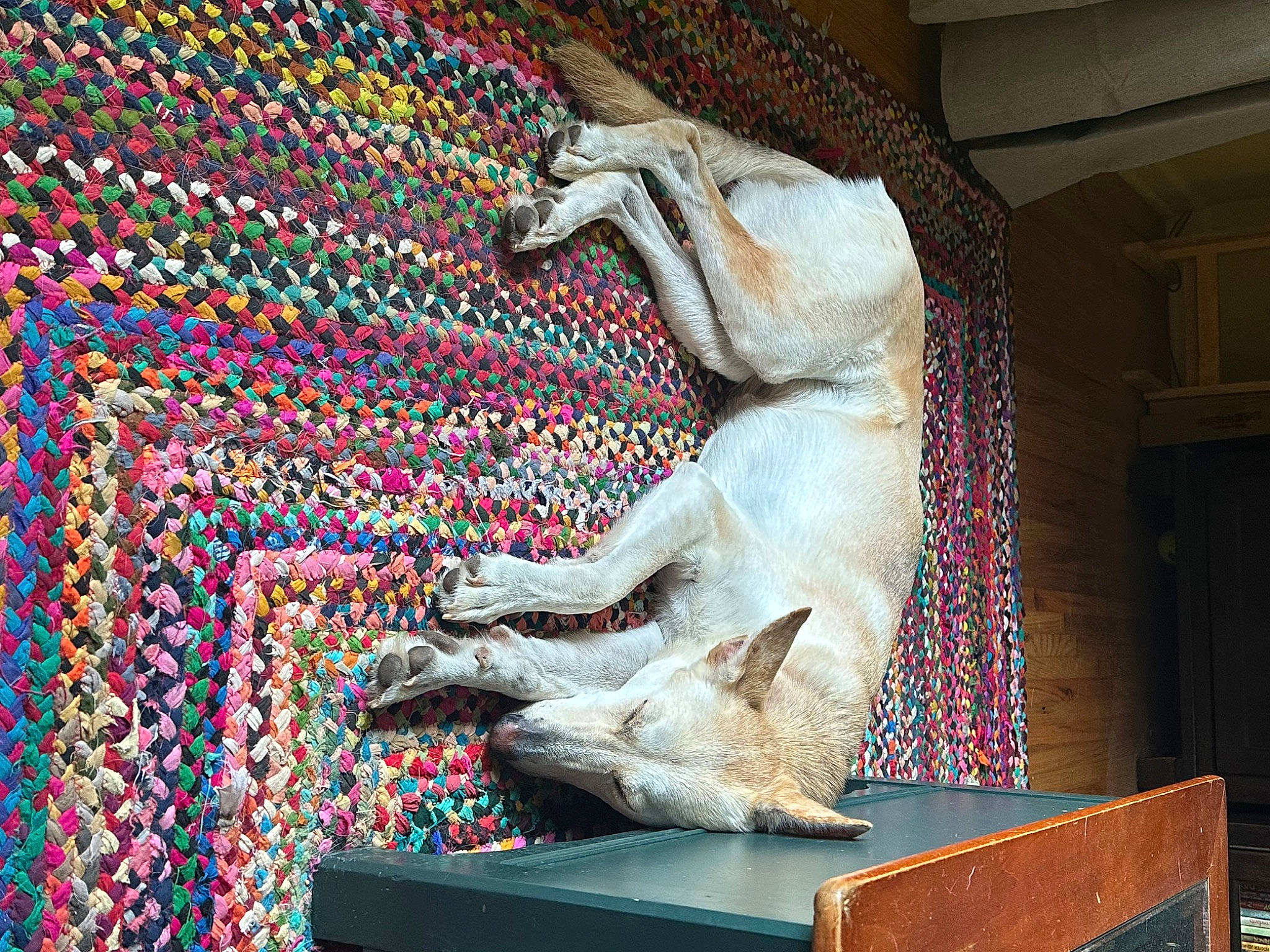 Noel is registered to the contest to win money with this photo: art, fur, pattern, rectangle, room, sculpture, statue, tail, visual_arts, wood, working_animal