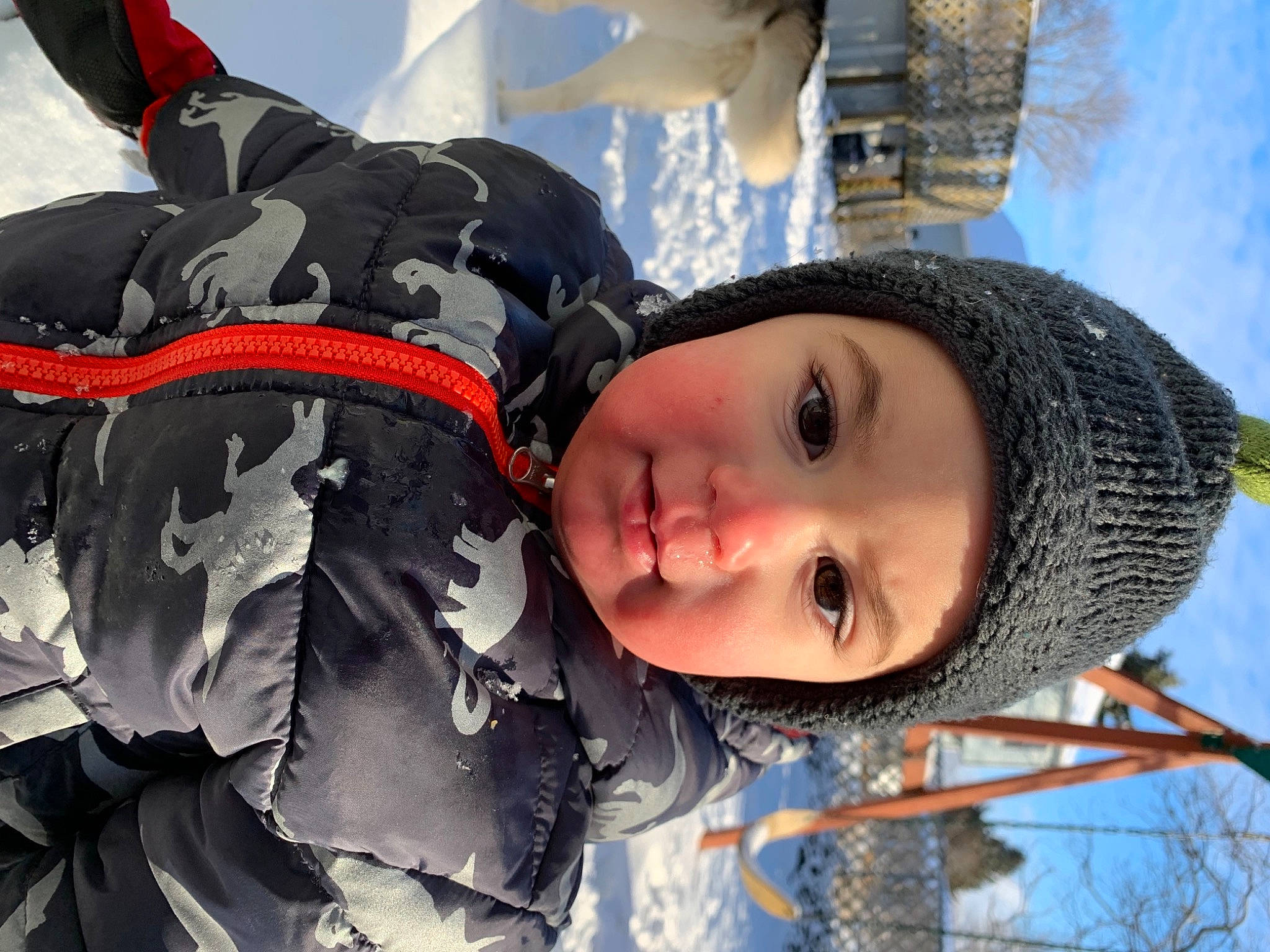 Hudson joined the competition — help win amazing prizes! carmine, child, cool, freezing, fun, happy, headgear, headwear, outerwear, pattern, people_in_nature, person, personal_protective_equipment, plant, playing_in_the_snow, recreation, sky, smile, snow, toddler