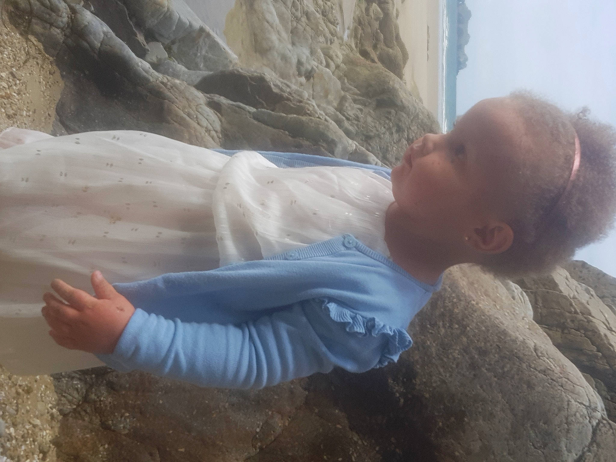 Lauriana participe au concours pour gagner de l'argent avec cette photo : bedrock, body_of_water, child, coast, comfort, fun, grass, human_body, landscape, leisure, linens, natural_environment, person, rock, sand, sky, soil, t_shirt, tree, vacation
