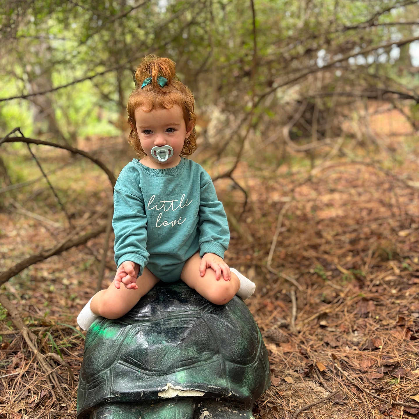 Delilah is registered to the contest to win money with this photo: bow, branches, child, cute, daylight, forest, ground, hair, leaves, nature, outdoor, pacifier, portrait, sitting, smile, statue, sweatshirt, toddler, turtle, young_child