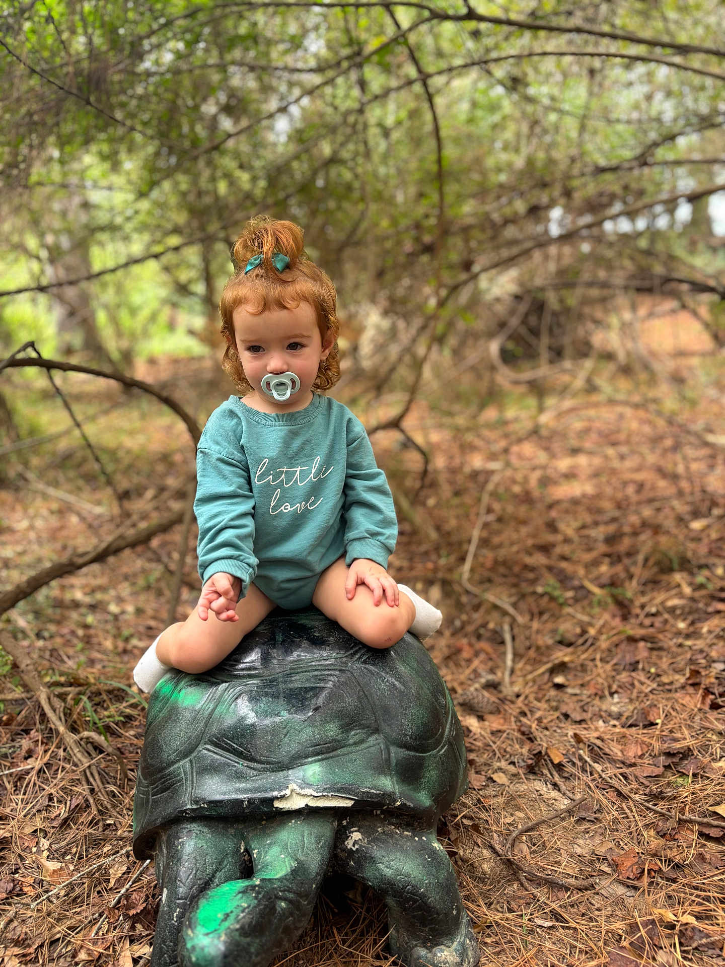 Delilah is registered to the contest to win money with this photo: toddler, child, pacifier, sweatshirt, bow, hair, statue, turtle, outdoor, forest, nature, leaves, branches, ground, sitting, cute, young_child, portrait, daylight, smile