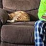 cat, orange_tabby, sleeping, brown_recliner, furniture, indoor, plaid_pajamas, person, neon_green_shirt, resting, cozy, relaxing, home, nap, couch, pet, domestic_animal, soft_texture, casual, comfort