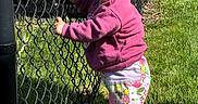 Sophia Grace joined the competition — help win amazing prizes! toddler, child, girl, outdoor, playground, chain_link_fence, grass, sunny, yellow_bow, pink_sweater, floral_pants, white_sneakers, holding_fence, curious, standing, daylight, park, play_equipment, person, casual_clothing
